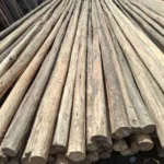 Postes de Eucalipto